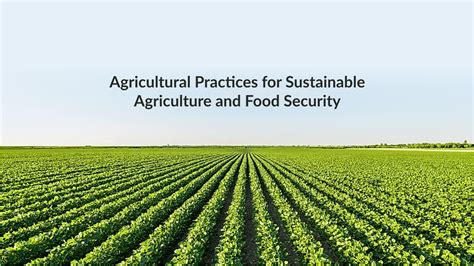 pwetan.c9m|Agriculture & Food .